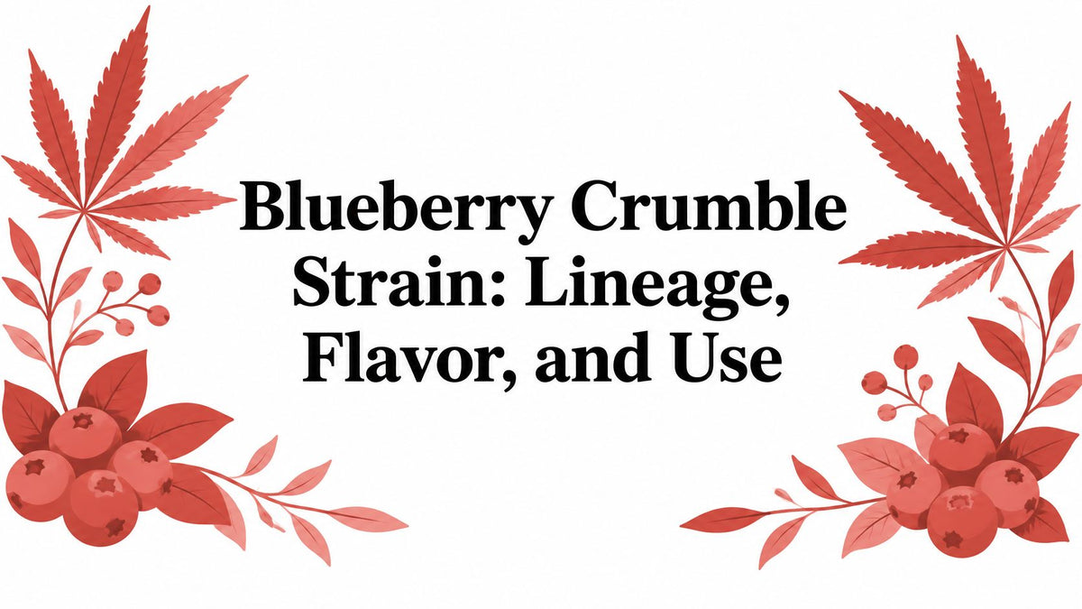 Blueberry Crumble Strain: Lineage, Flavor, and Use