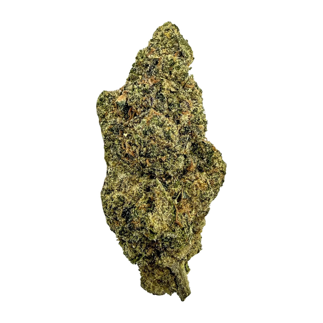 Harlequin - Hybrid (28 grams)
